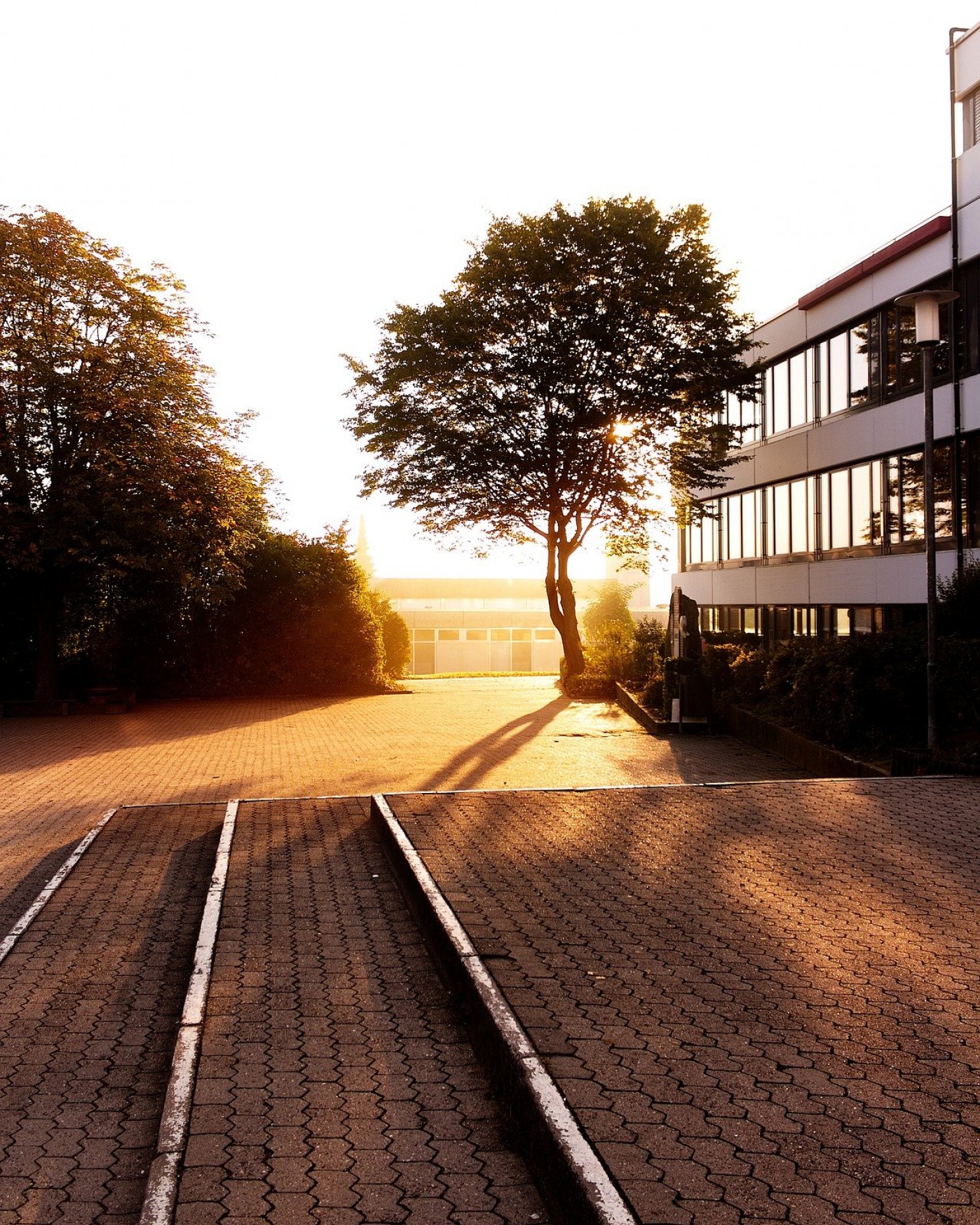 foerderverein-schule