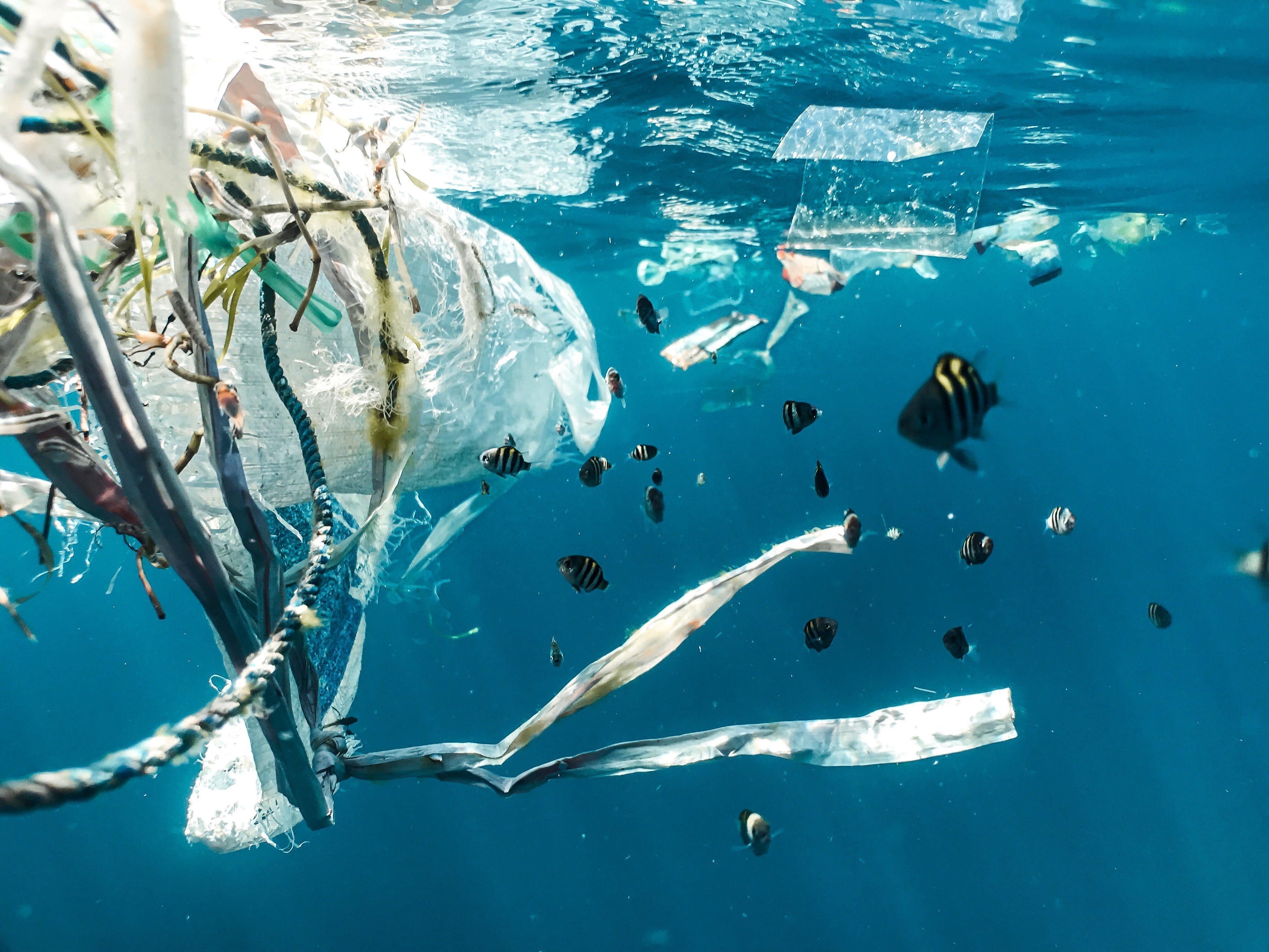 nachhaltige-klassenfahrt-nach-istrien-mit-herole-zur-untersuchung-von-mikroplastik-im-meer